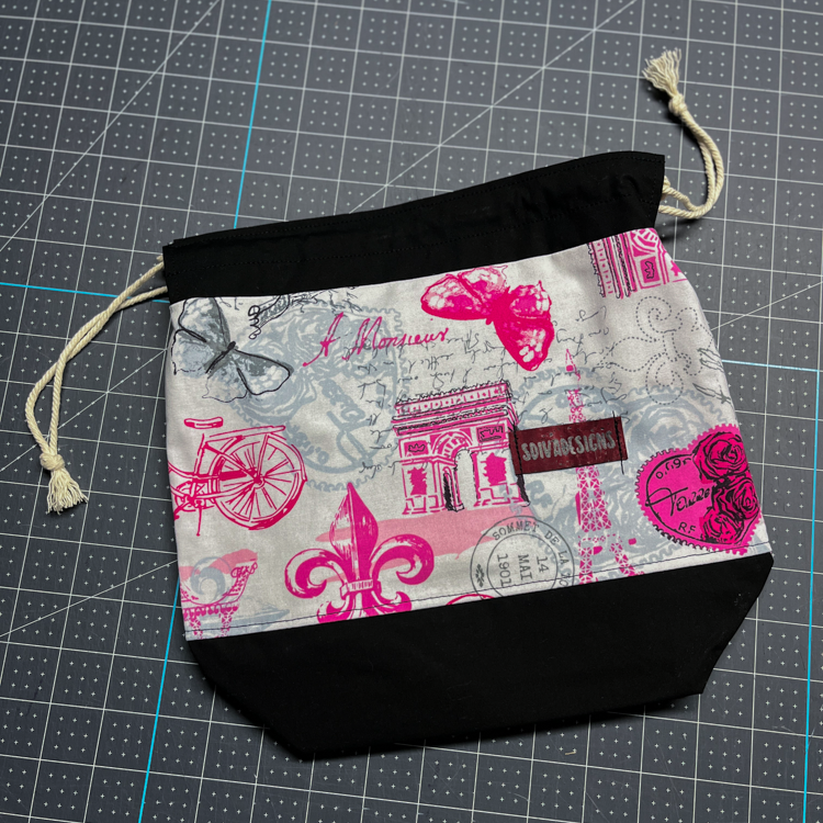 Paris Print sock knitting project bag with divider and snap tabs