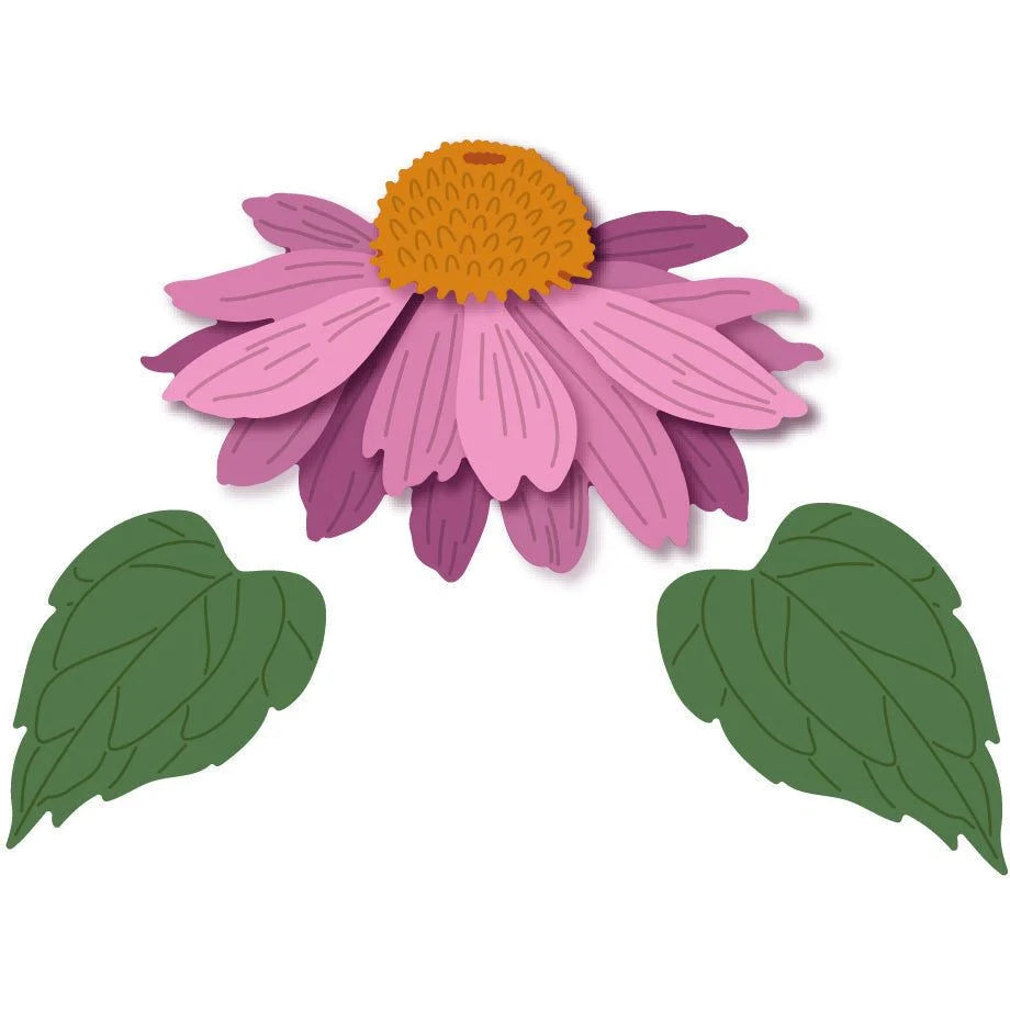 HBS - Lovely Layers: Coneflower - Honey Cuts